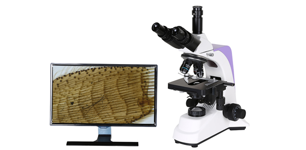 電子顯微鏡與光學顯微鏡的市場增長率對比