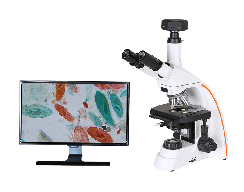 生物顯微鏡如何維護與保養？